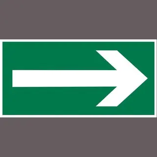 Pickup Vluchtweg - Richtingspijl - Conform Nen-En-Iso 7010 Bord 30x15 Cm