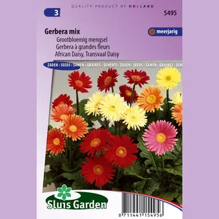 Sluis Garden - Gerbera Grootbloemige Gemengd