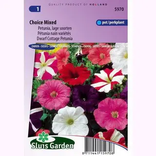 Sluis Garden - Petunia Choice Mix