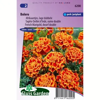 Sluis Garden - Afrikaan Bolero
