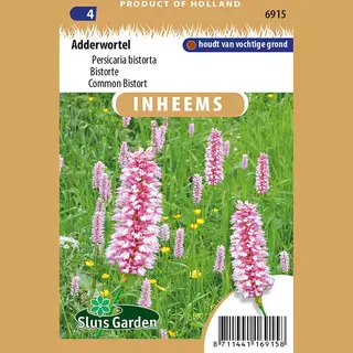 Sluis Garden - Inheemse Bloemenzaden - Adderwortel - Geproduceerd In Nederland
