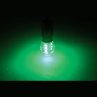 Talamex Ledlamp Led15 10-30V BAY15D Green