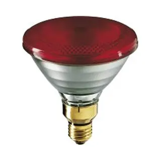 Bailey Electric & Electronics RI38E240150R/01 Glühbirne 150 W