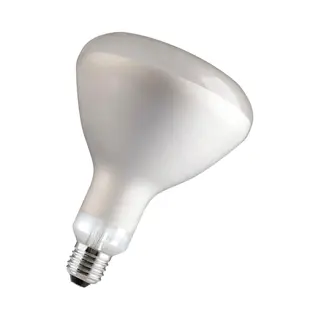 Philips 57523425 Infrarotlampe 250 W Glühbirne