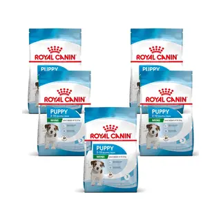 Royal Canin Mini - Puppy-Hondenvoer - 5 X 800 G