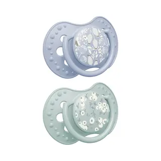 Difrax Lovi Dynamische Fopspeen - 18+ Maanden - Blossom - Groen & Blauw - 2 Stuks
