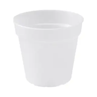 elho green basics orchid 17cm Drinnen/Draußen Topfpflanzer Freistehend Polypropylen (Pp) Transparent