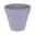 Lavendel Lila