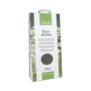 Velda Vincia Toru-Active 2100 G