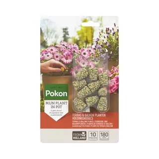 Pokon Terras&Balkon Planten Voedingskegels 10 Stuks