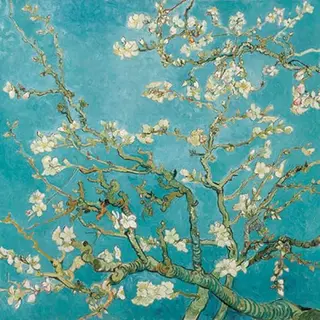 Ambiente Servietten 33x33 Almond Blossom - Mandelblüte (1)
