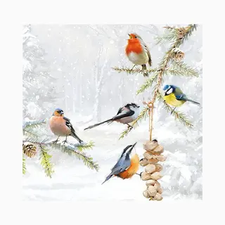 Ambiente Paper Napkins Lunch/Party/ca. 33x33cm All Together - Christmas - Ideal As A Gift And Decoration