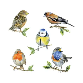 20 Ambiente Paper Napkins "Bird Species White" Vintage Table Decoration With Motif Also For Party Or Decoupage 33 X 33 Cm