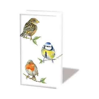 ambiente Papiertaschentücher "Birds"