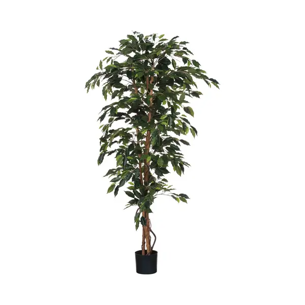 Mica Decorations Ficus Kunstplant - H180 X Ø100 Cm - Groen thumbnail