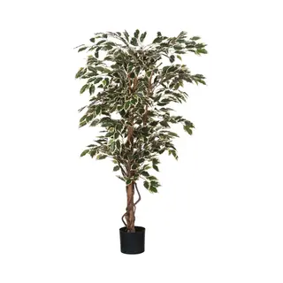 Mica Decorations - Ficus Kunstplant - H150 X Ø75 Cm - Groen Bont