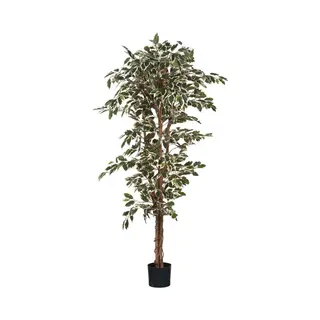 Mica Decorations Ficus Kunstplant - H180 X Ø90 Cm - Groen Bont