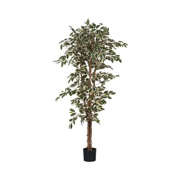 Mica Decorations Ficus Kunstplant - H180 X Ø90 Cm - Groen Bont thumbnail