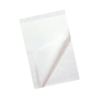 Quantore Flipoverpapier - 65 X 100 Cm - 50 Vellen
