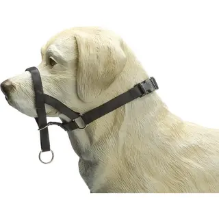 Beeztees Dog Control - Halsband Hond - Zwart - S