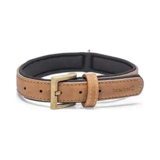 Beeztees Bz Balacron Kraag Ax Brn 36 (36, 37, 38, 39, 40, 41, 42, 43, 44, Hond, Hondensport), Kraag + Leiband