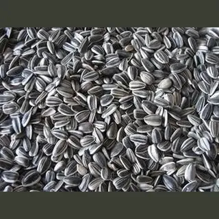 Dbs Wintervoer Dbs Vogelvoer - Zonnebloempitten - Tuinvogelvoer - Ongepeld - 20kg