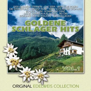 Heartselling Verschillende Artiesten - Goldene Schlager Hits