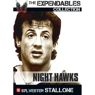 Nighthawks (The Expendables Collection)