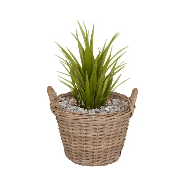Mega Collections Planten/bloemen Mand Levi - Rotan - Naturel - D39 X H25 Cm - Plantenpot Voor Buiten thumbnail