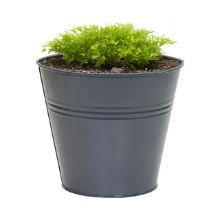 Mega Collections Plantenpot/bloempot Bob - Zink - Antraciet - D11 X H10 Cm