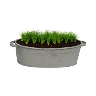 Mega Collections Teil/plantenpot/bloempot Farmer - Ovaal - Zink - Donkergrijs - L25 X D18 X H11 Cm