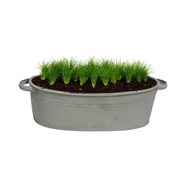 Mega Collections Teil/plantenpot/bloempot Farmer - Ovaal - Zink - Donkergrijs - L25 X D18 X H11 Cm thumbnail