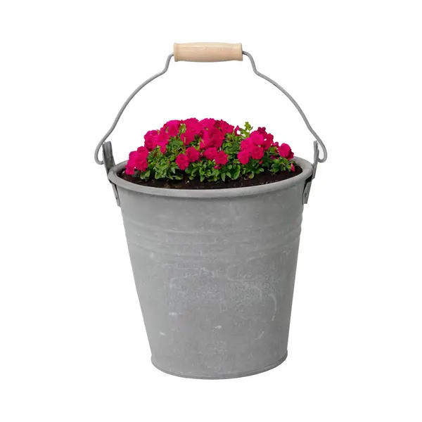 Mega Collections Emmer/plantenpot/bloempot Eddy - Zink - Zilver - D18 X H18 Cm thumbnail