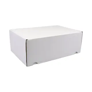 SendProof® Postpakketdoos | Golfkarton | 315x215x120mm | Gestanst | Wit | 25 Stuks