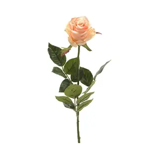 Emerald Kunstbloem Roos Simone - Zalm Kleurig - 73 Cm - Decoratie Bloemen