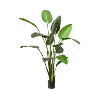 Plantenwinkel.nl Kunstplant Strelitzia L