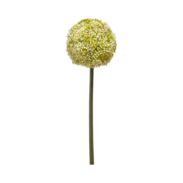 Emerald Allium/Sierui Kunstbloem - Losse Steel - Wit/groen - 75 Cm - Natuurlijke Uitstraling thumbnail