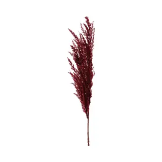 Top Art TopArt Pampasgras Pluim Losse Steel/tak - Bordeaux Rood - 100 Cm - Decoratie Kunst Bloemen/graspluimen