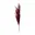 Bordeaux rood