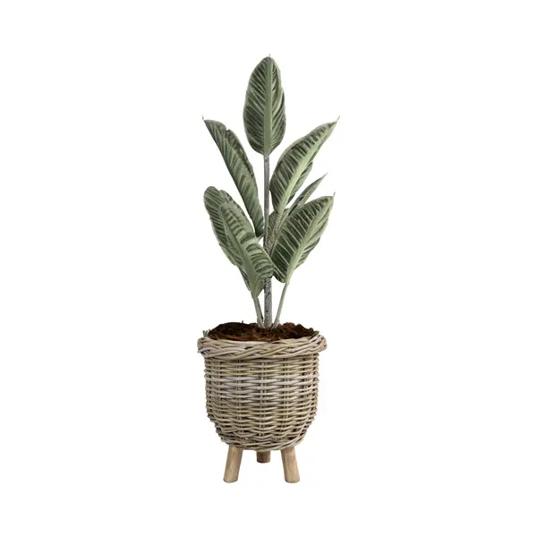 Van Der Leeden Planten/bloemen Mand - Op Pootjes - Rotan - Gevlochten - D34 X H40 Cm - Plantenpot - Bloempot - Binnen/buiten thumbnail