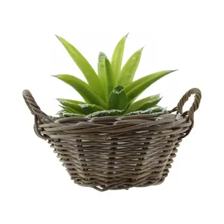 Van Der Leeden Mand Met Hengsels - Bruin - D43 X H18 Cm - Rotan - Gevlochten Riet - Mand - Opbergen - Opbergmand - Bloemen/planten