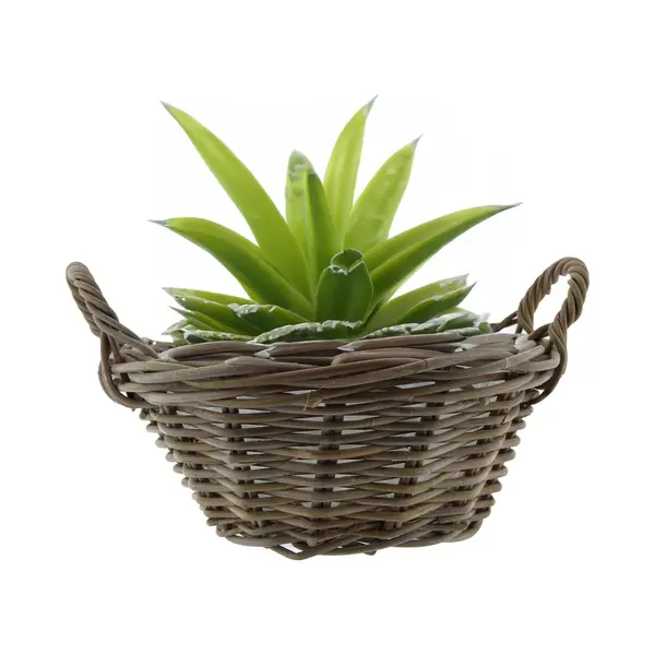 Van Der Leeden Mand Met Hengsels - Bruin - D43 X H18 Cm - Rotan - Gevlochten Riet - Mand - Opbergen - Opbergmand - Bloemen/planten thumbnail