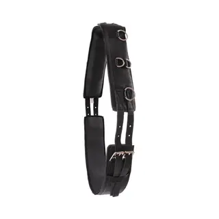Harry's Horse Epplejeck Neopreen Longeersingel - Zwart - Mt - Pony