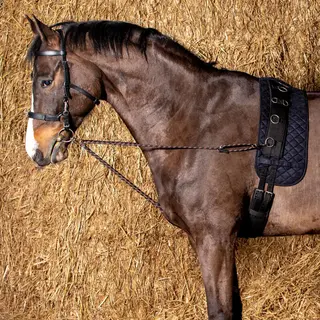Harry's Horse Longeerkoord V-line (paar) Black