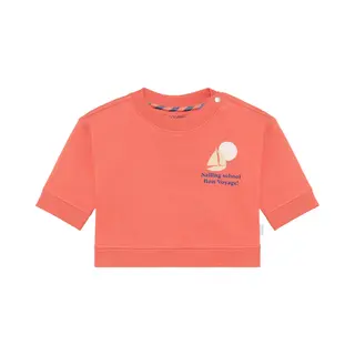 Noppies Sweatshirt Donkerblauw / Bloedrood / Wit