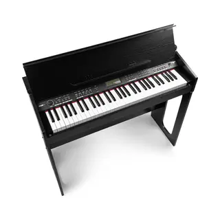 Max RhapsodyDP61 Digital Piano With Stand | 61 Touch-Sensitive Keys | Music Keyboard, 300 Rhythms & Timbres | Built-In Stereo Speakers, Sustain Pedal