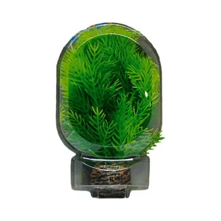 Superfish Easy Plant Foreground 13cm (No 9)