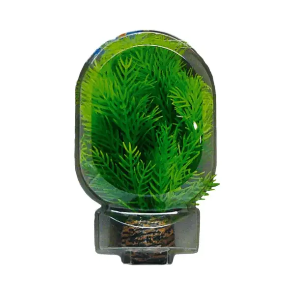 Superfish Easy Plant Foreground 13cm (No 9) thumbnail