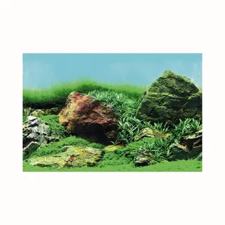 Superfish Deco Poster C3 100cm X 49cm (Mossy Aquascapes) Aquarium Background