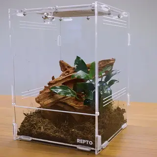 Repto Terra Clear - Insecten Terrarium 30 X 20 X 16